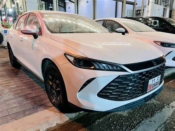بي واي دي Qin Plus 2025 للبيع في العراق - النجف